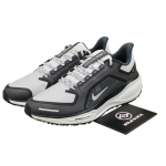 Nike Air Zoom Pegasus 41 GORE-TEX Raudhall Summit White - FQ1356-002 EU 44 hall v&auml;rv