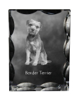 Border Terrier - crystal with a picture of a dog, glass statuette with a picture, unique frame with a picture from Art-Dog brand
