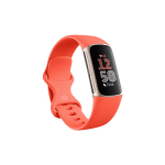 Google Fitbit Charge 6 - Coral / Champagne Gold Aluminium