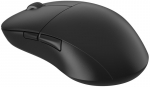 Endgame Gear XM2we Wireless Gaming Mouse - black