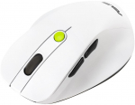 ASUS MD105 wireless mouse white, green