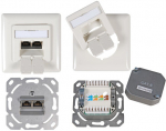 Data outlet Cat.6 250MHz, up/down, Flush, 2xRJ45, RAL9010