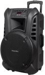 Active Speaker Cabinet (with 2 wireless microphones UHF, SD, Bluetooth, FM, USB) 60 Watt