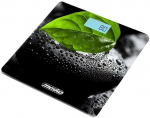 Mesko | Bathroom scales | MS 8149 | Maximum weight (capacity) 150 kg | Accuracy 100 g | Black/ green