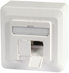Data outlet Cat.6A 500MHz, Surface, 2xRJ45, RAL9010