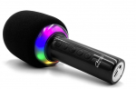 Media-Tech Karaoke Microphone with bluetooth speaker MT399
