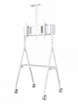 TV SET ACC FLOOR STAND/32-65" NS-M1500WHITE NEOMOUNTS