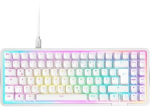 NZXT Function Elite - keyboard TKL - QWERTZ - German - matte white Input Device