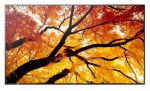 Sharp Display MultiSync M322 32-inch 24/7
