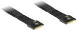 Inter-Tech Kabel SFF 8654-8x - SFF 8654-8x 0,75m