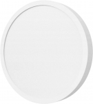 Xiaomi Smart Ceiling Light D20 17W