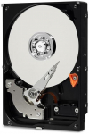 Western Digital Blue 2.5" 1000 GB Serial ATA III Hard Disk Drive