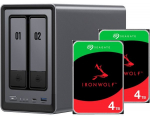 DXP2800 + 2x 4 TB Seagate IronWolf HDD Bundle