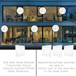 Wireless wall switch, transmitter, works without batteries, kinetic, two buttons