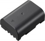 Panasonic battery DMW-BLF19