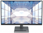 Lenovo 66C9UAC1EU 31.5" 4K IPS Monitor