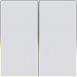 AVATTO TS60-EU-W2 smart dual-channel light switch