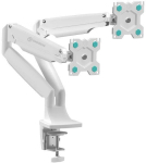 ONKRON G200-W white monitor deskmount 13-32"