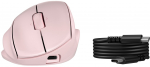 HP Tilt Ergonomic Mouse 725M