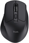 Trust Niven mouse Office Right-hand RF Wireless + Bluetooth 3200 DPI