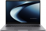 ExpertBook P3 (P3405CVA-LY0046X) (grau, Intel&reg; Core? i7-13620H, Intel&reg; Graphics, 16 GB DDR5, 512 GB (512 GB SSD), Window
