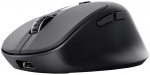 Trust Zevo mouse Universal Right-hand RF Wireless + Bluetooth Optical 4000 DPI