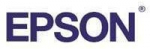 EPSON Ink Cleaning Cartridge T642000