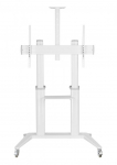 Techly Mobile stand for a TV 70-120 inches 140 kg or an interactive board