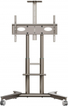 TV mobile stand 32-75" champagne TS1571-C Onkron