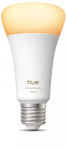 Philips Hue WA E27 1er 100W
