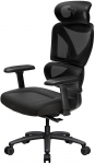 ThunderX3 XTC Cushion ergonomic gaming chair - black