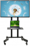 TV trolley stand Maclean, professional, on wheels, max 32-65", max 40kg, MC-739