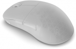 Endgame Gear XM2w 4k Wireless Gaming Maus, kabellos - White Frost