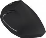 Inter-tech Eterno KM-206R Wireless Black Mouse