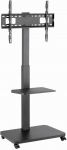 Gembird TV floor stand with caster wheels, 37-75-inch, black