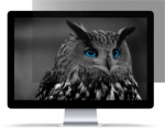 NATEC Owl Frameless display privacy filter 61 cm (24")