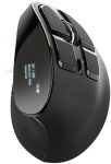 Trust Voxx Wireless Ergonomic Mouse Black