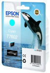 EPSON Ink T7602 Cyan