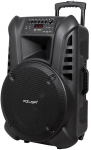 Active loudspeaker (with 2 wireless microphones, SD, Bluetooth, USB) 15" 120W