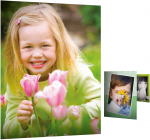 HP Everyday photopaper glossyA4 100sheet