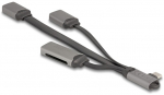 DELOCK 2 Port USB Hub inklusive SD und Micro SD Card Reader