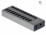 Delock External SuperSpeed USB Hub with 10 Ports and Switch