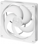 Arctic P14 PWM - White