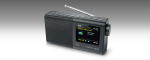 Muse M-117 DB radio Portable Digital Black