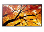 Sharp Monitor M652 65 inches 24/7 550cd/m2