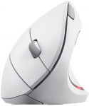Trust Wireless mouse Verto Ergo white