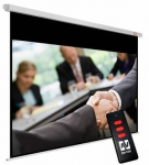 Avtek Business Electric Screen 300P