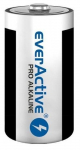 Everactive Pro Alkaline LR20 D Batteries - 2 Pack