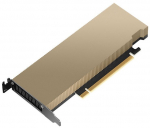 PNY NVIDIA L4 Module 24GB low profile