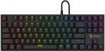 Savio Tempest X2 RGB mechanical keyboard, Outemu Brown